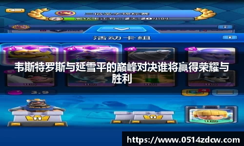 NG体育