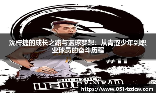 NG体育平台
