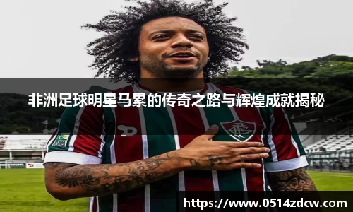 非洲足球明星马累的传奇之路与辉煌成就揭秘